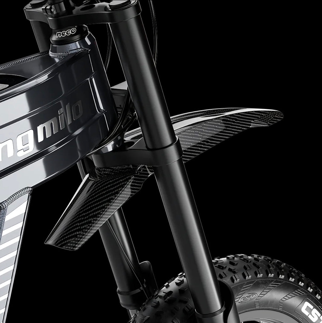 S900 High Performance Electric E-Bike – 750W, 60V 30Ah and Speed Up to 65 km/h